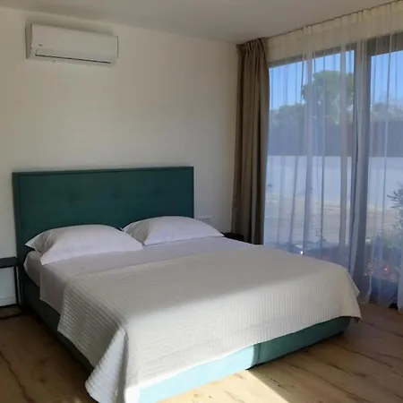 Olynthia * Рогач